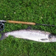 First of the season. Derwent Salmon