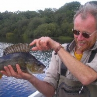 Another Lake District Perch