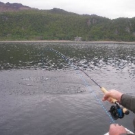 Proper Fishing!!