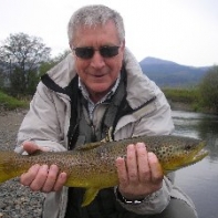 Lister Fielding- Derwent trout on the dry