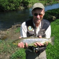One on a dry fly from the middle Derwent