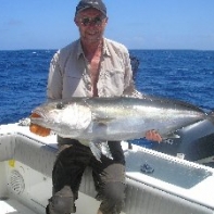 Just another Amberjack